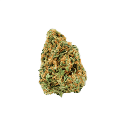 avaay 20/1 CK Critical Kush